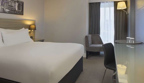 Room, 1 Queen Bed