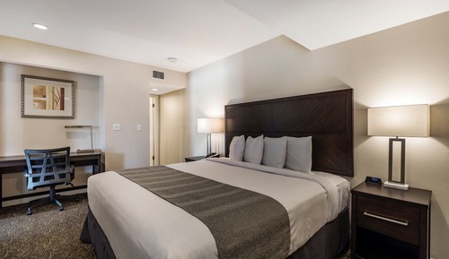 Signature Room, 1 King Bed