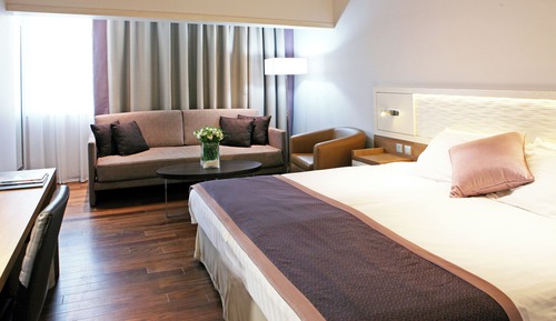 Standard Room, 1 King Bed with Sofa bed, City View
