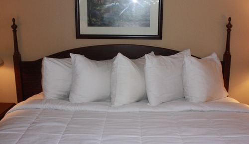 Studio Suite, 1 Queen Bed, Non Smoking