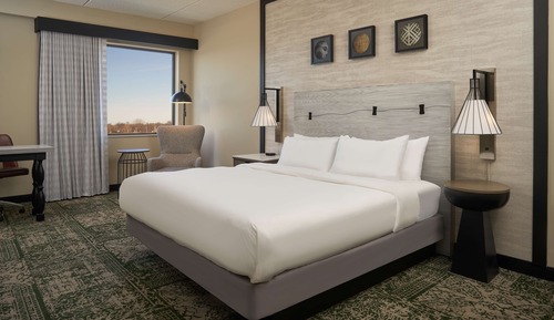 Room, 1 King Bed