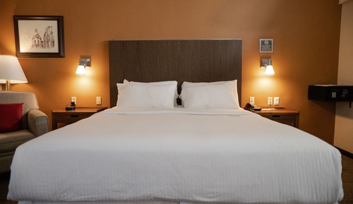 Traditional Room, 1 King Bed, Non Smoking