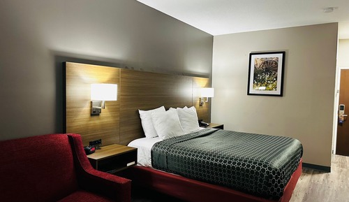 Room, 1 King Bed, Non Smoking