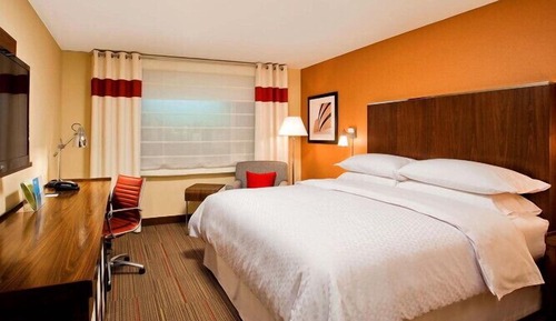 Traditional Room, 1 King Bed (Mobility Accessible, Roll-In Shower)