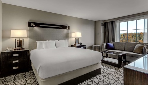 Room, 1 King Bed with Sofa bed, Non Smoking