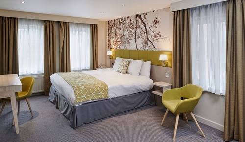 Suite, 1 King Bed