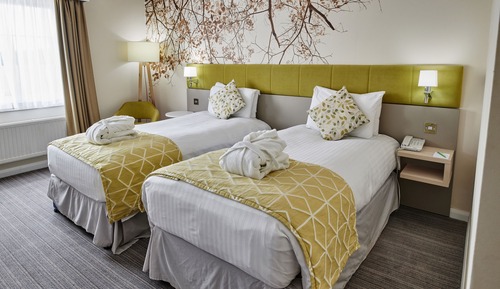 Standard Room, 2 Twin Beds (Mini Fridge)