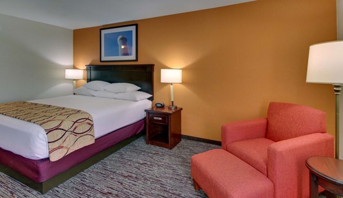 Deluxe Room, 1 King Bed, Accessible, Refrigerator & Microwave (Roll in Shower)