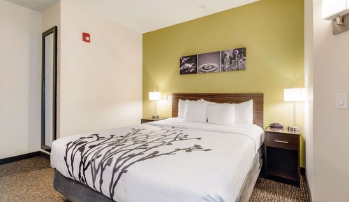 Room, 1 King Bed, Accessible, Non Smoking