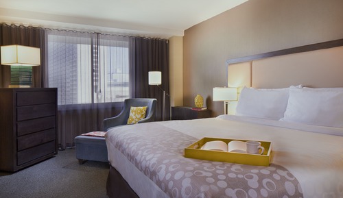 Studio Suite, 1 King Bed