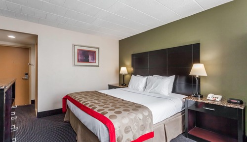 Room, 1 King Bed, Accessible, Non Smoking (One-Bedroom, Mobility)