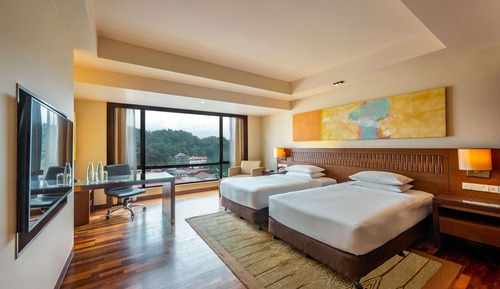 Club Room, 2 Twin Beds