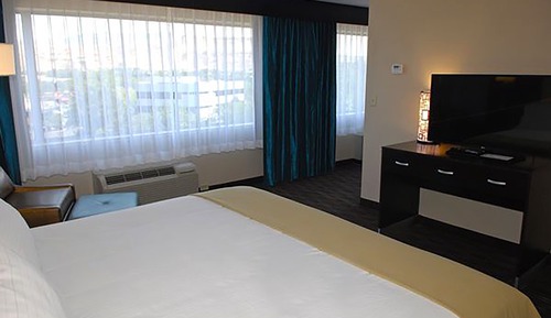 Suite, 1 King Bed