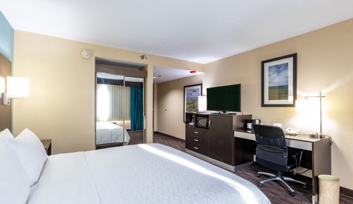 Standard Room, 1 King Bed, Mountain View