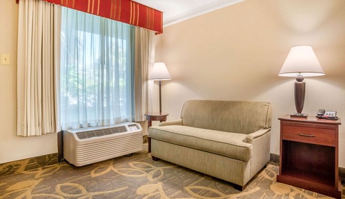 Room, 1 King Bed, Non Smoking (Pet Friendly)
