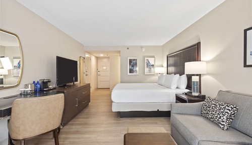 Room, 1 King Bed with Sofa bed