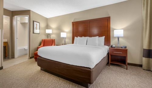 Business Room, 1 King Bed, Accessible, Non Smoking (Upgrade)