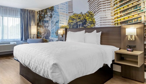 Standard Room, 1 King Bed, Non Smoking