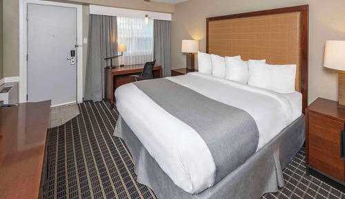 Standard Room, 1 King Bed, Non Smoking