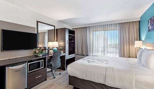 Room, 1 King Bed (Boulevard View)