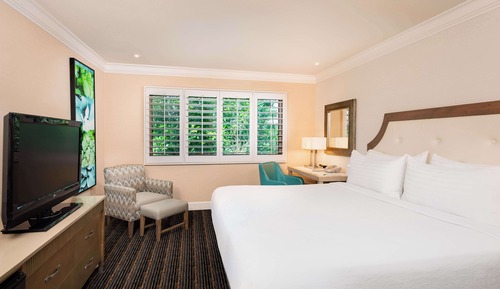 Room, 1 King Bed