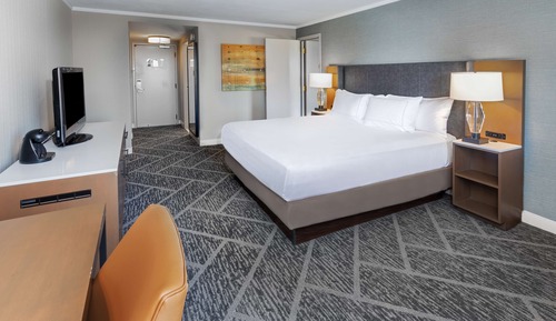Suite, 1 King Bed (Parlor)