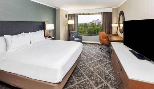 Room, 1 King Bed, Refrigerator (High Floor)
