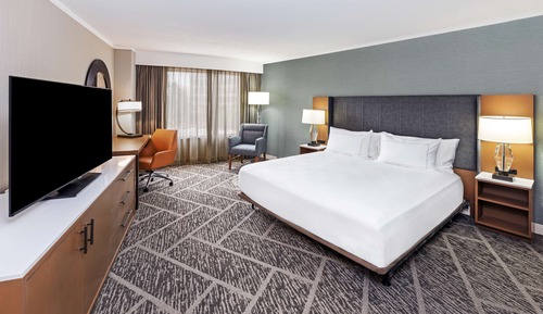 One King Bed Accessible with Bathtub