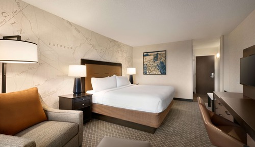 Room, 1 King Bed