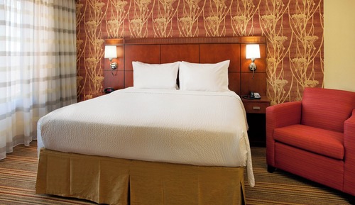 Suite, 1 King Bed with Sofa bed
