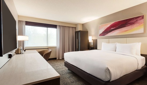 Room, 1 King Bed, Accessible (3x3 Shower)