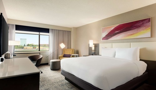 Room, 1 King Bed