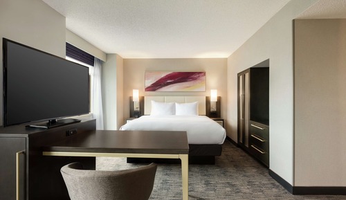 Studio Suite, 1 King Bed with Sofa bed