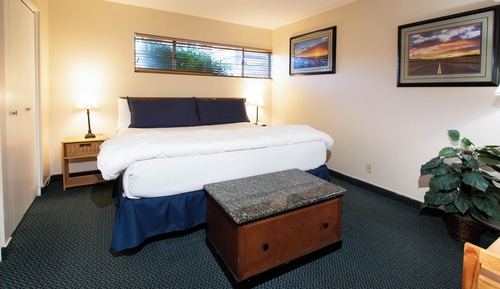 Superior Studio Suite, 1 King Bed with Sofa bed, Kitchen, Ground Floor
