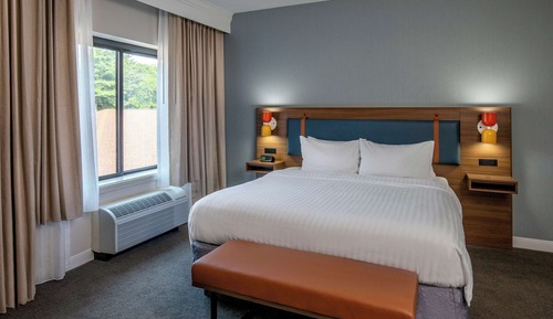 Suite, 1 King Bed with Sofa bed (One Bedroom)
