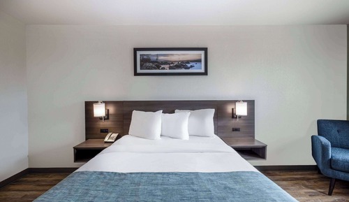 Room, 1 Queen Bed, Accessible, Non Smoking (Bathtub w/ Grab Bars)