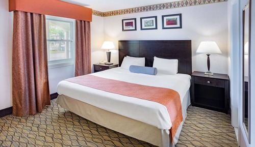 Room, 1 King Bed, Accessible, Non Smoking (Mobility)