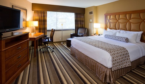 Standard Room, 1 King Bed, Accessible (Mobility, Roll-In Shower)
