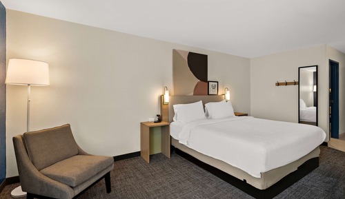 Room, 1 King Bed