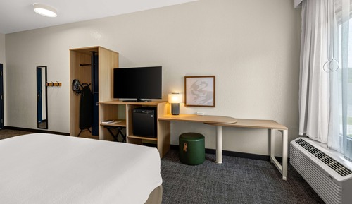 Room, 1 King Bed, Accessible (Mobility & Hearing, Roll-In Shower)