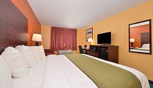 Suite, 1 King Bed with Sofa bed, Non Smoking