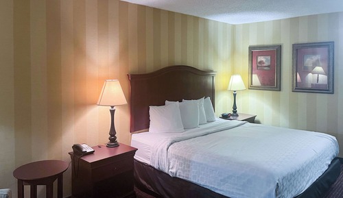 Deluxe Room, 1 King Bed, Smoking, Refrigerator & Microwave