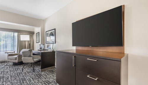 Deluxe Room, 1 King Bed with Sofa bed