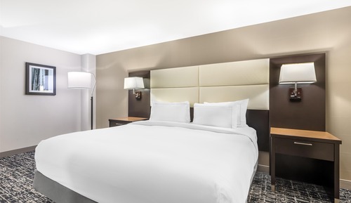 Junior Studio Suite, 1 King Bed