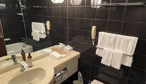 Privilege, Room, 1 Queen Bed