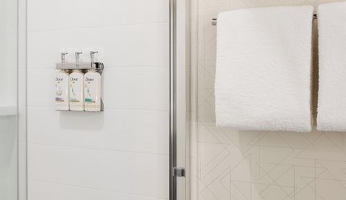 Standard Room, 1 King Bed, Accessible (Mobility, Roll-In Shower)