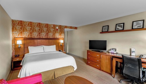 Room, 1 King Bed with Sofa bed