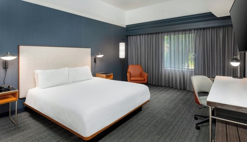 Room, 1 King Bed (Mobility/Hearing Accessible, Tub)