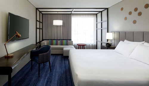 Room, 1 King Bed with Sofa bed