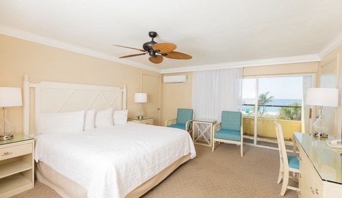 Studio, 1 King Bed, Balcony, Ocean View